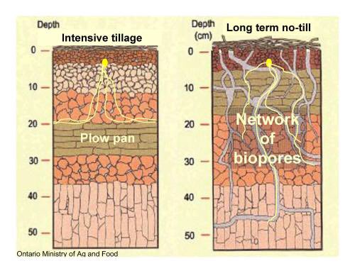 organicbalance3's tweet photo. Introduction of reduced tillage systems, like those usually associated with organic farming, decrease soil soul erosion significantly. What are your thoughts on these tillage systems? what will you do to promote no tillage systems in mass agricultural practices? https://t.co/79EdrAssJl