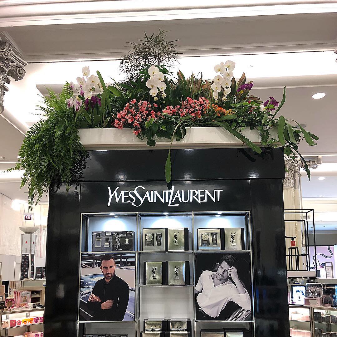 McFarDoug's tweet photo. Fun things to do in Chicago -- including the #free @macys Flower Show in #Chicago: https://t.co/Rrd66QyiJe https://t.co/5sRSGRlbqK