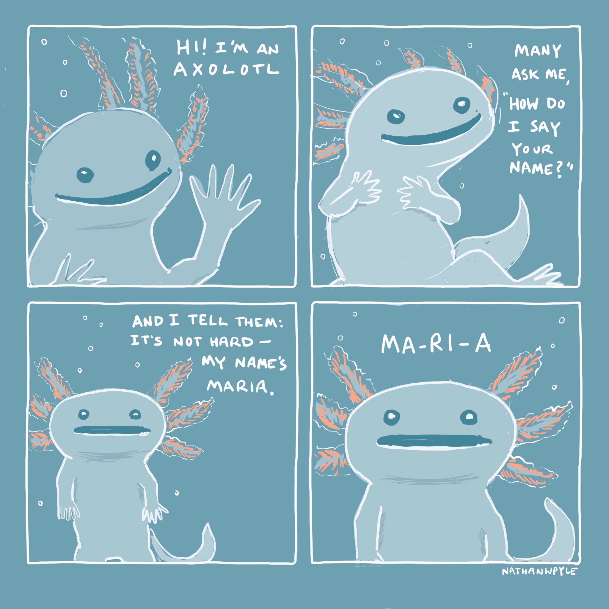 Nathan W Pyle Nathan W Pyle
