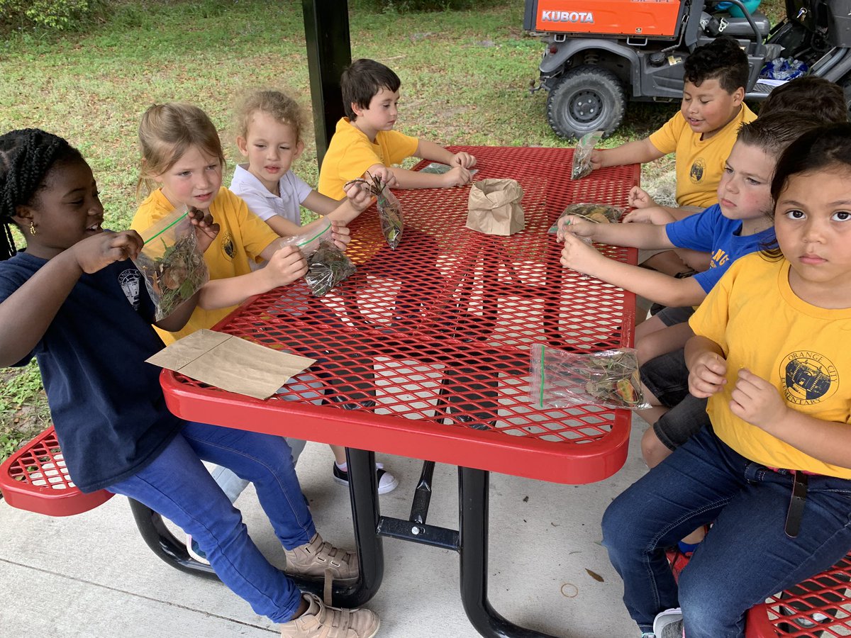samallansoned's tweet photo. We had SO much fun on our field trip to Mill Lake Park in Friday!! 💙💛 https://t.co/eroNwqijSJ