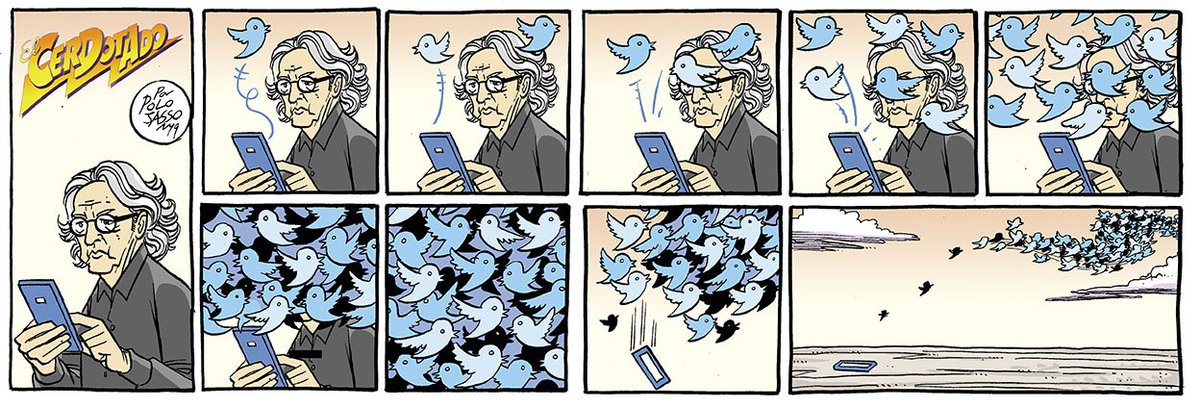 polo jasso tweet media