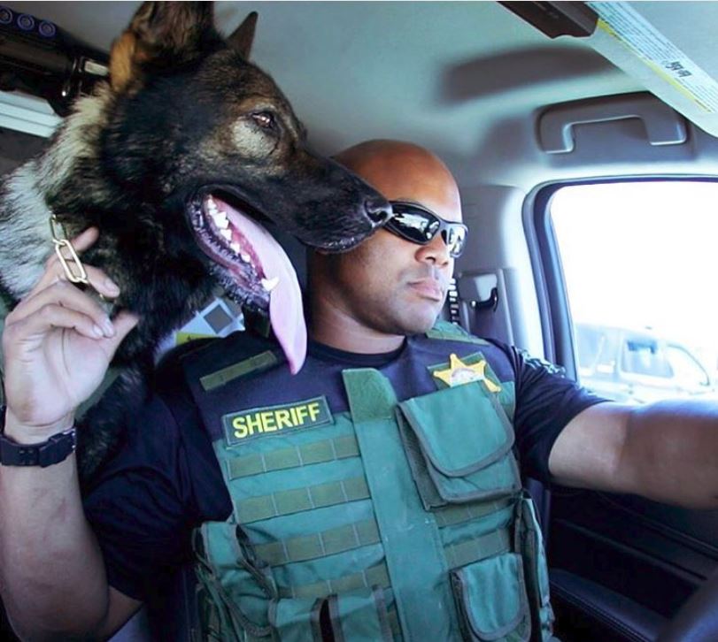 CBCAElite1's tweet photo. #K9Yevhen RT@vcsdk9unit Uh, not so fast boys...#K9Yevhen here...you need to see this tongue from all sides? #GoBigOrGoHome You copy that #K9Dano, #K9Fritz, #K9Jago and #K9Sam? https://t.co/xuSula6NRH