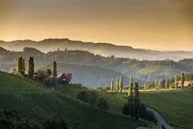 You want to share your knowledge with us at our <a href="/gamedevdays/">Game Dev Days</a> in Graz? Please submit your talk here by May 1st: forms.gle/gME46UpW2AZqZJ… 

 #gddg19 September 6-8 <a href="/tugraz/">TU Graz</a> #graz 

 #gamedev #indiedev 

(+ pic of our vineyards of the Social Sunday ;-)  )

[RTs appreciated &lt;3]