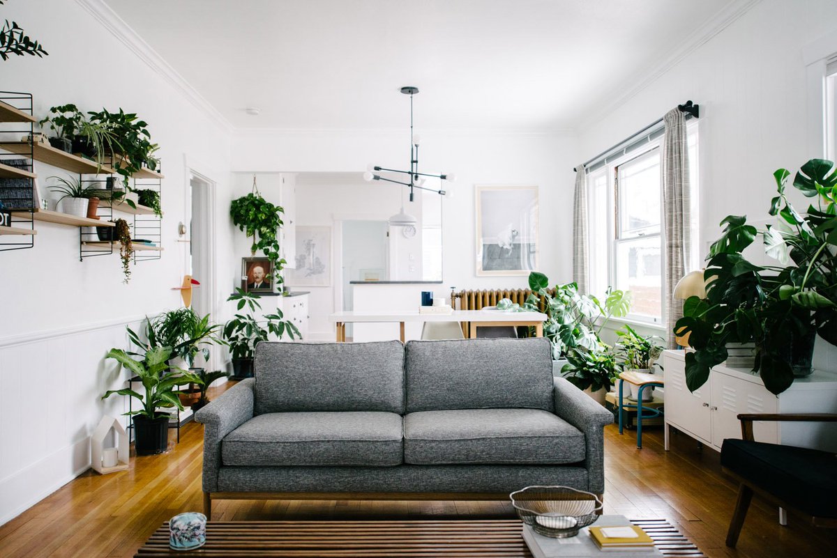 GoldnMarbleDec's tweet photo. Looking for a way to connect nature into your home? Bring nature indoors with our newest blog post on why everyone should have their own urban jungle!

https://t.co/dtWxdmmzVu 🎍🌿🌺 https://t.co/bfq9dFDZDc