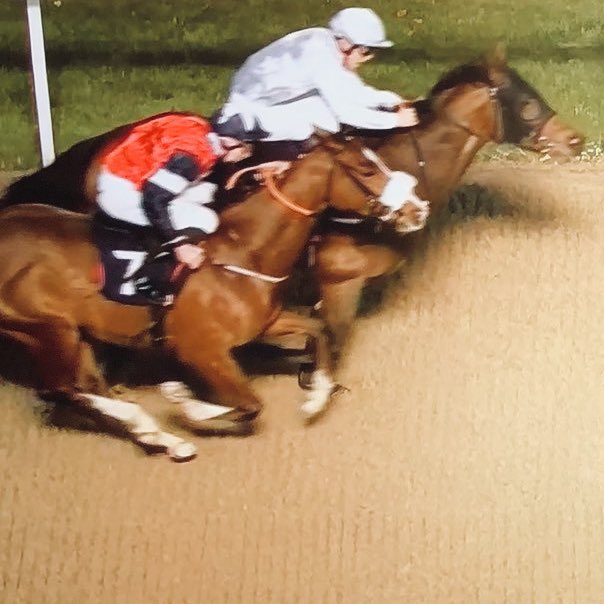 OllyMurphyClub's tweet photo. Another Reason ran a blinder on his Olly Murphy Racing Club debut to be second @WolvesRaces tonight.  Showed plenty of promise and will give members plenty of fun over the months ahead #GetInvolved @O_J_murphy91 https://t.co/8QLT9cmZHY