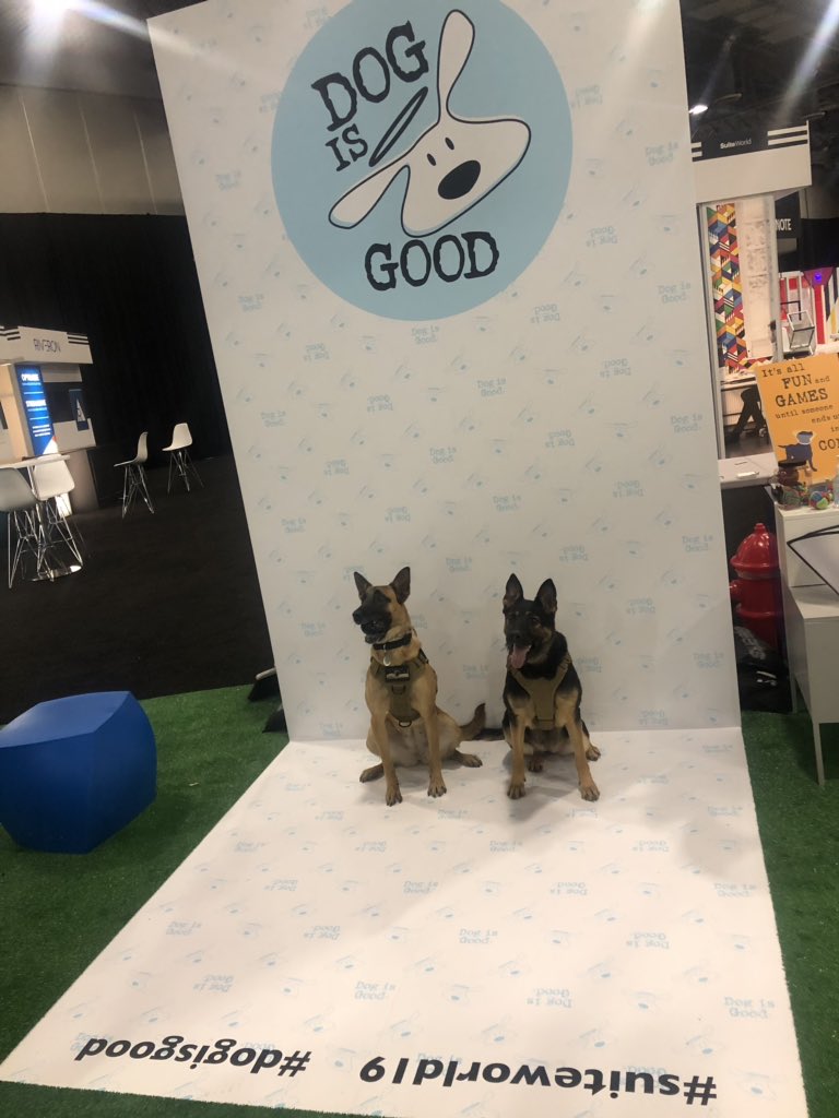 TadyLovesDaniel's tweet photo. Taking a break after a hard days work ... #suitedogs https://t.co/KDndTR8Vzu