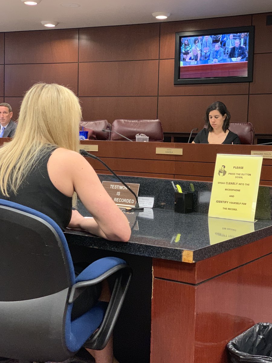 Renew_NV's tweet photo. On behalf of @CleanFutureNV @KatieRobbins08 speaks in support of #sb358 because voters overwhelmingly supported Q6 &amp; Nevadans shouldn't have to wait for a cleaner, healthier future for our state! #RenewNV #NVleg https://t.co/hYLmCn7jJf