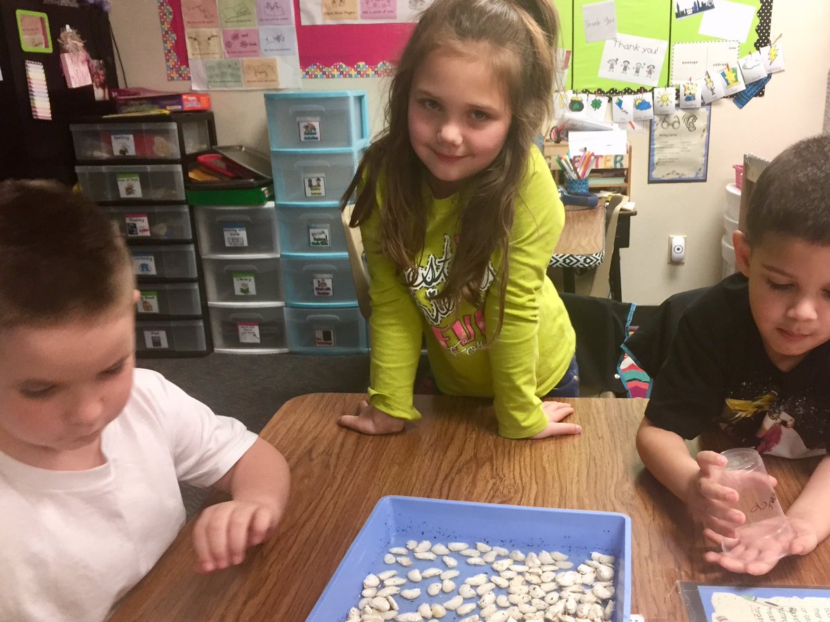 ChristaGoodell's tweet photo. Plant investigations in kinder science! #loveclp #livingvsnonliving ✏️📋💚🔬🔎💦🍃🌱🌿🥽 https://t.co/F1EapSL6Du