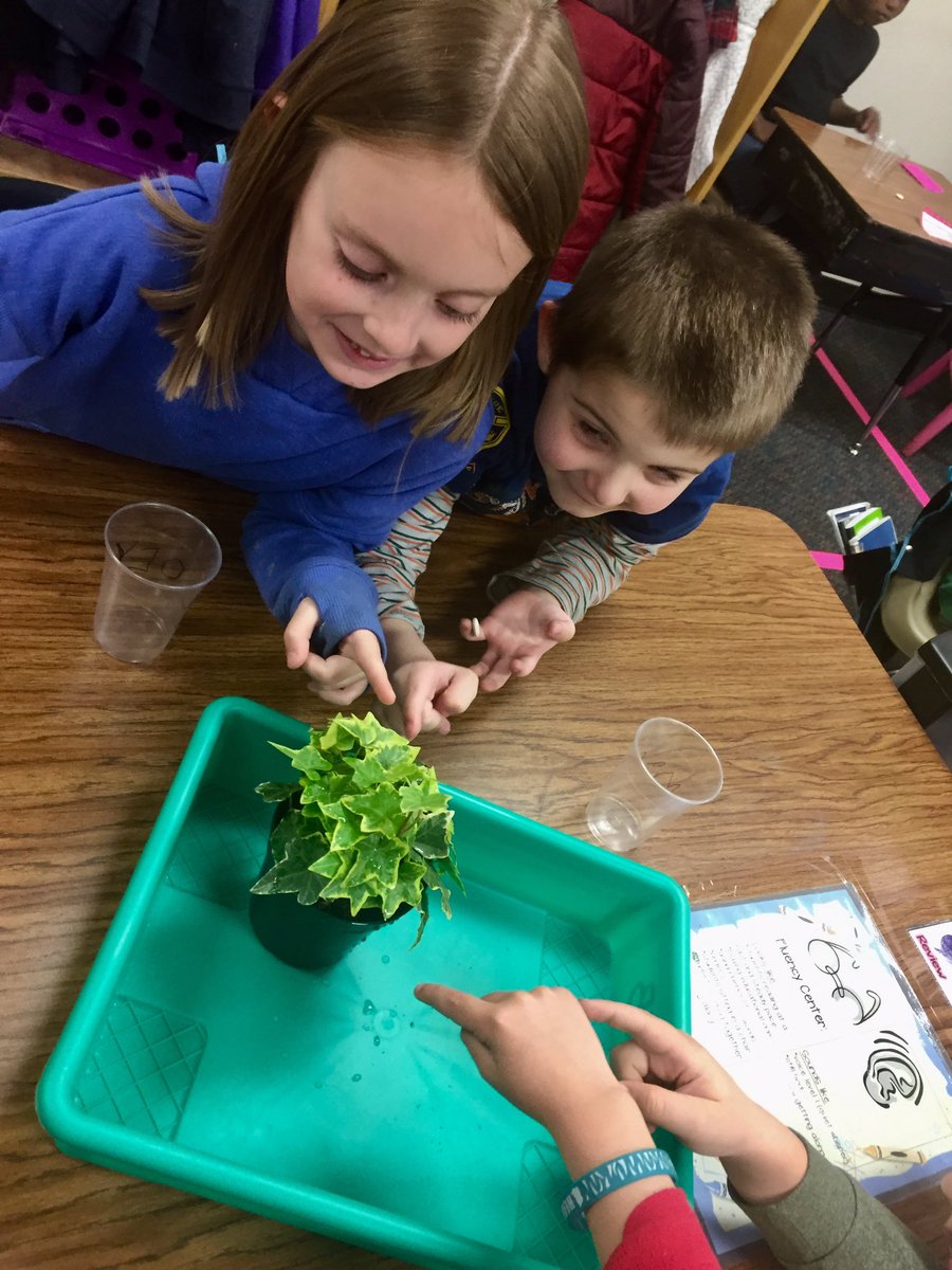 ChristaGoodell's tweet photo. Plant investigations in kinder science! #loveclp #livingvsnonliving ✏️📋💚🔬🔎💦🍃🌱🌿🥽 https://t.co/F1EapSL6Du