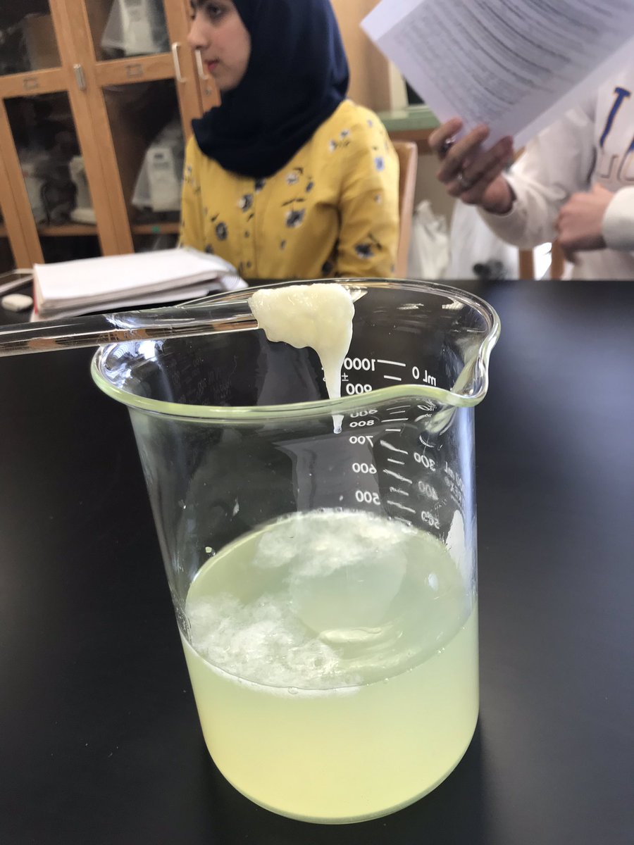erikabennett00's tweet photo. @UNKBiol106AC #106Week12ACS19 Smelliest lab so far this semester. Onion DNA https://t.co/9nBdFNB0B0