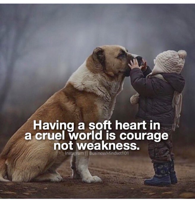 eldiablo0786's tweet photo. Having a soft #heart in a cruel #world is courage not weakness

#ThinkBIGSundayWithMarsha 
#InspireThemRetweetTuesday 
#JoyTrain #IQRTG #Love
#LightUpTheLove #LUTL
#WednesdayWisdom
#ThursdayThought
#GoldenHearts
#ShineOn #ChooseLove 
#FamilyTRAIN #StarFishClub https://t.co/47hRght7eI