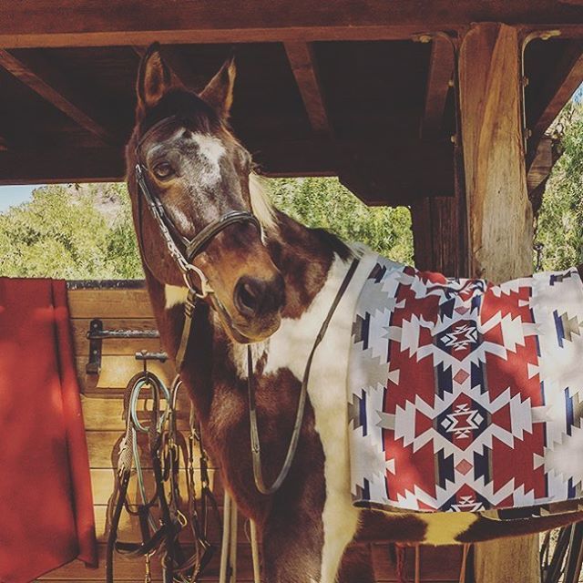 OWLeeCo's tweet photo. Combining Pendleton Woolen Mills’ distinct aesthetic, the enduring performance of Sunbrella fabrics, and the quality outdoor craftsmanship of OW Lee, a collection of products that fully encompass the rich artisanal heritage of three tried and true Americ… https://t.co/68E0yJIEkh https://t.co/iKmTUePWCJ