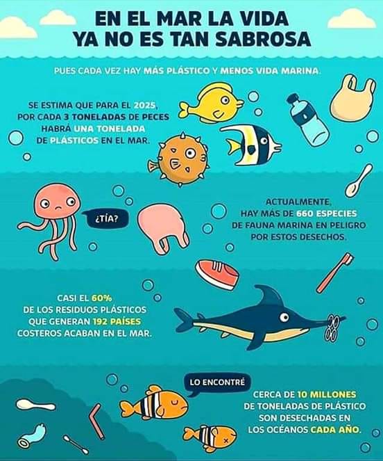 rediagro's tweet photo. Cuidemos nuestras especies marinas. NO al PLASTICO! https://t.co/AibkN0ffxd