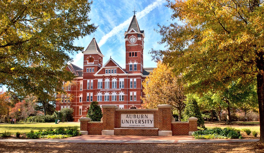 Best Colleges tweet media