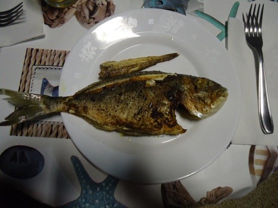 BackpackersMag's tweet image. My Exciting #Fishing Trip in Croatia. This is my story of a summer vacation in #Croatia last year. Me, my  girlfriend and parents went to a place where my father had a small #camper house. #Europe #backpacking #travelblogger #backpackers #travel #outdoors
backpackerstravelmagazine.com/my-exciting-fi…