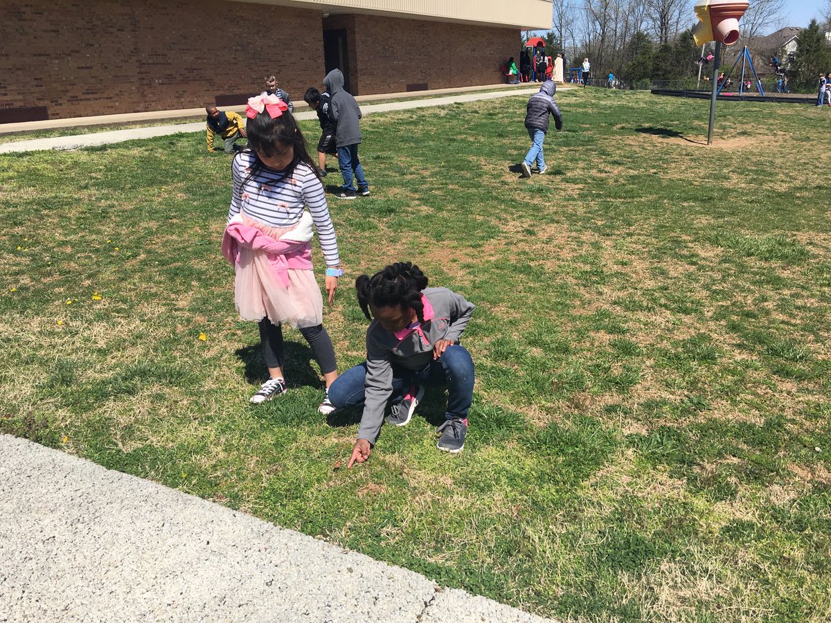 MrsDudney's tweet image. The entomologists of A4 released their butterflies today. 
#observeandlearn