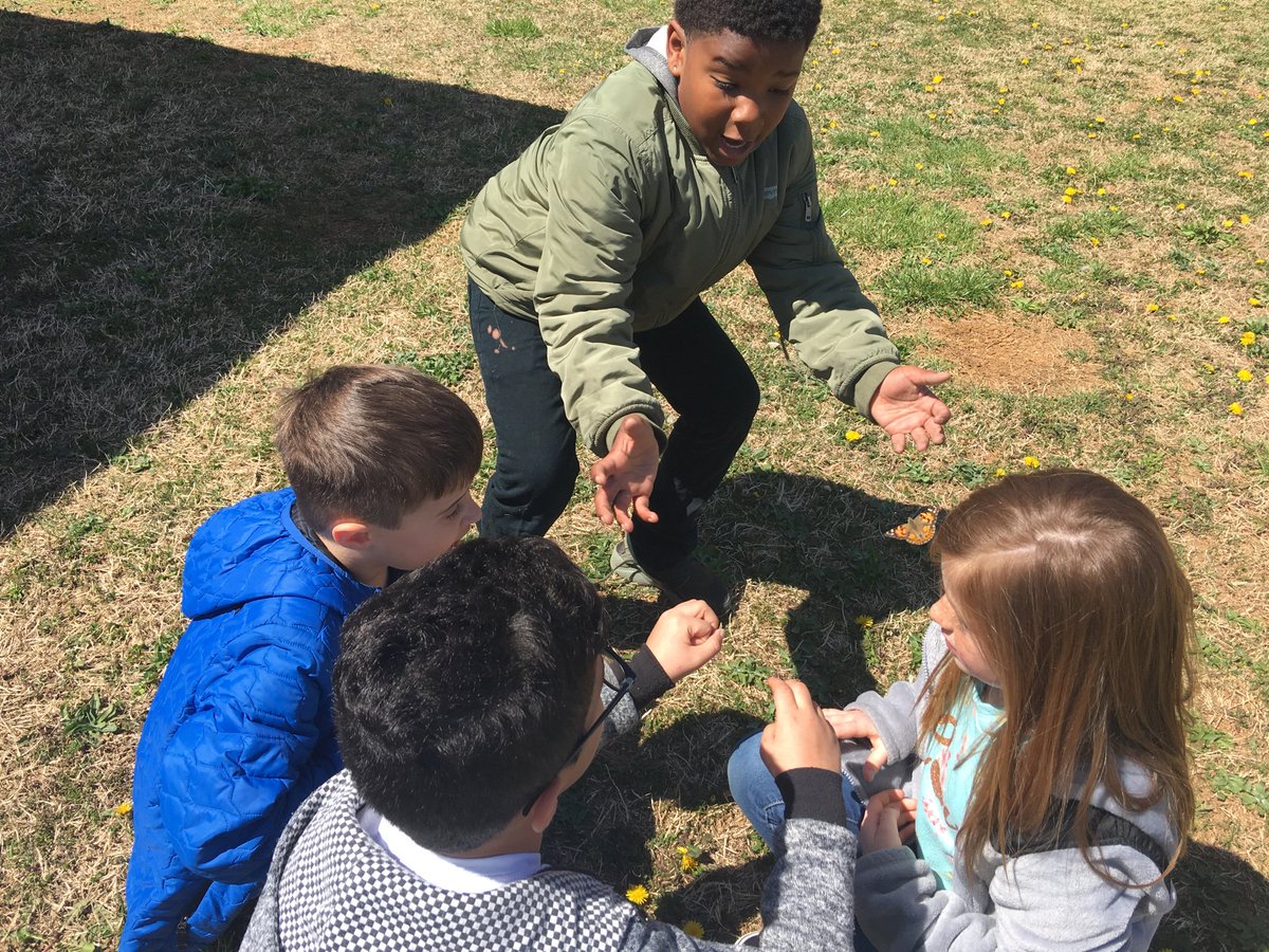 MrsDudney's tweet image. The entomologists of A4 released their butterflies today. 
#observeandlearn