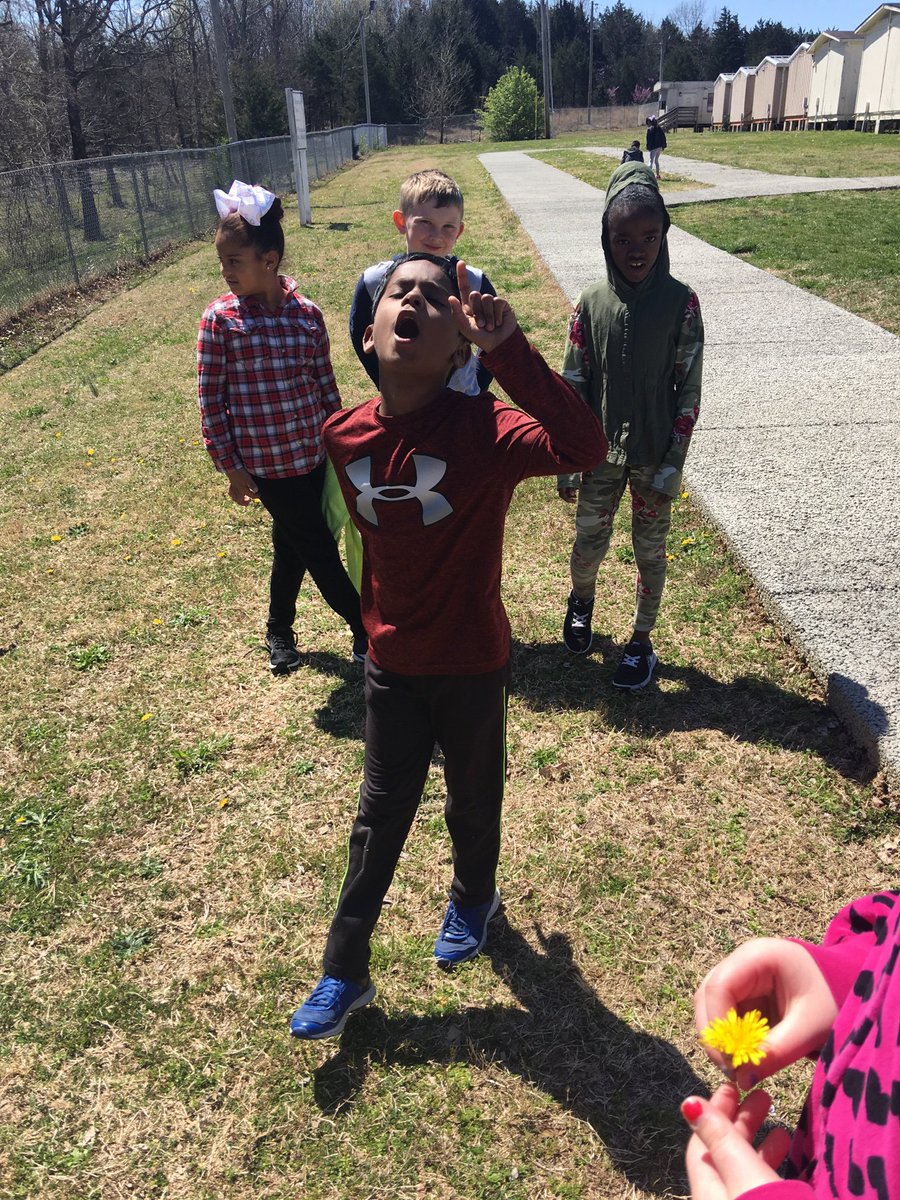 MrsDudney's tweet image. The entomologists of A4 released their butterflies today. 
#observeandlearn