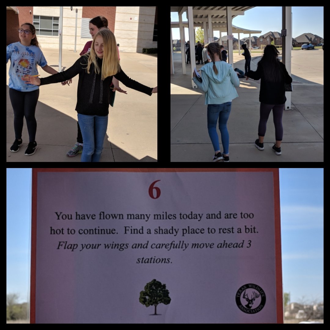 Leslie Harvey tweet media