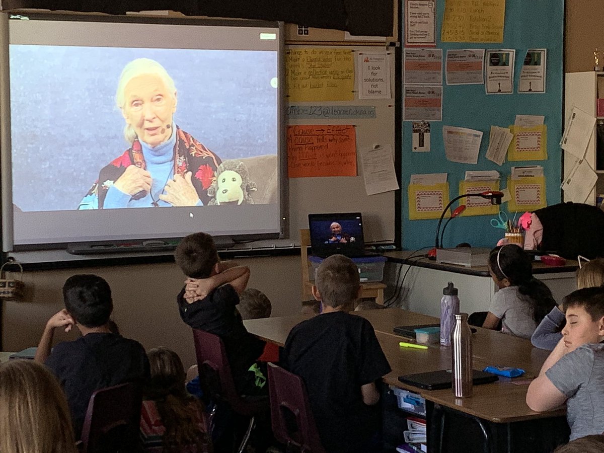LS_3rdGrade's tweet photo. Today we participated in a “Global Skype Classroom” presentation hosted by Jane Goodall. We learned about her compassion for life and the impact she has made on humanity. @LegendSprings https://t.co/RSxFqY2a5s