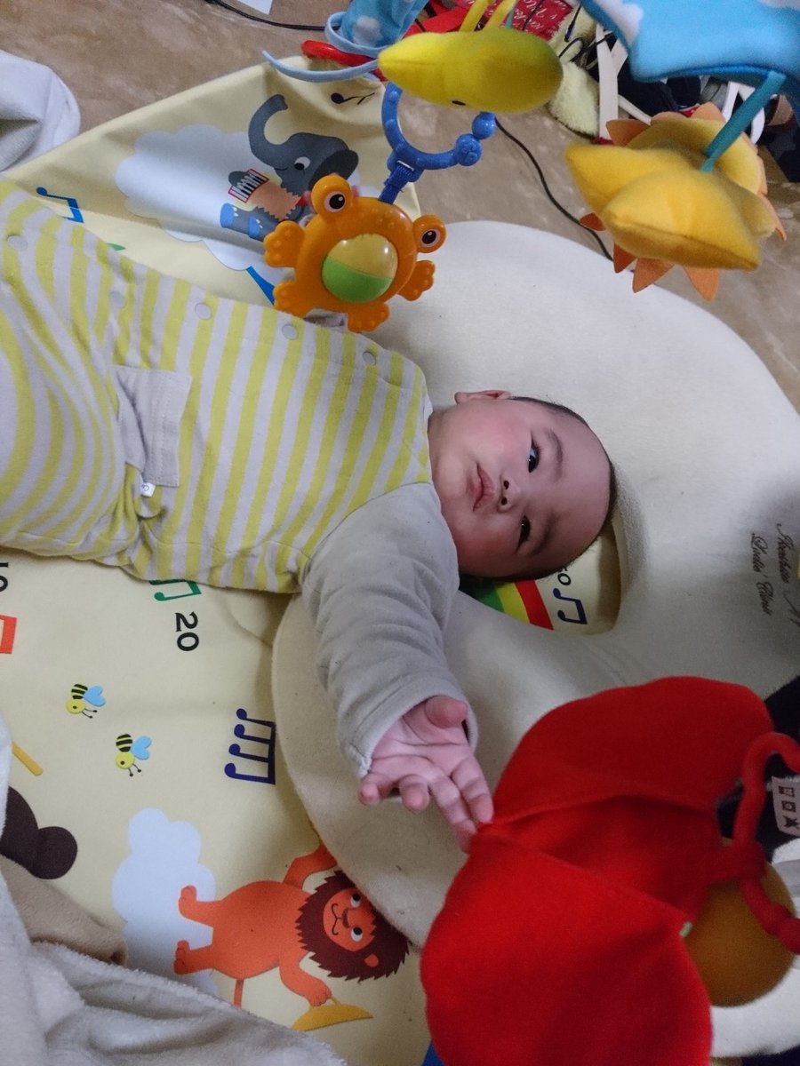 Kumi 2y3d 11d こどもちゃれんじbaby 初回特典付きで始めてみました うちの子は華やかな鳥 蝶 が好き がさがさ言うのが好きみたい 鳥の音楽鳴るのもなかなかいい 絵本に関していえばベビーくもんの絵本のが好み ベビーくもんは絵本 こどもちゃれんじ
