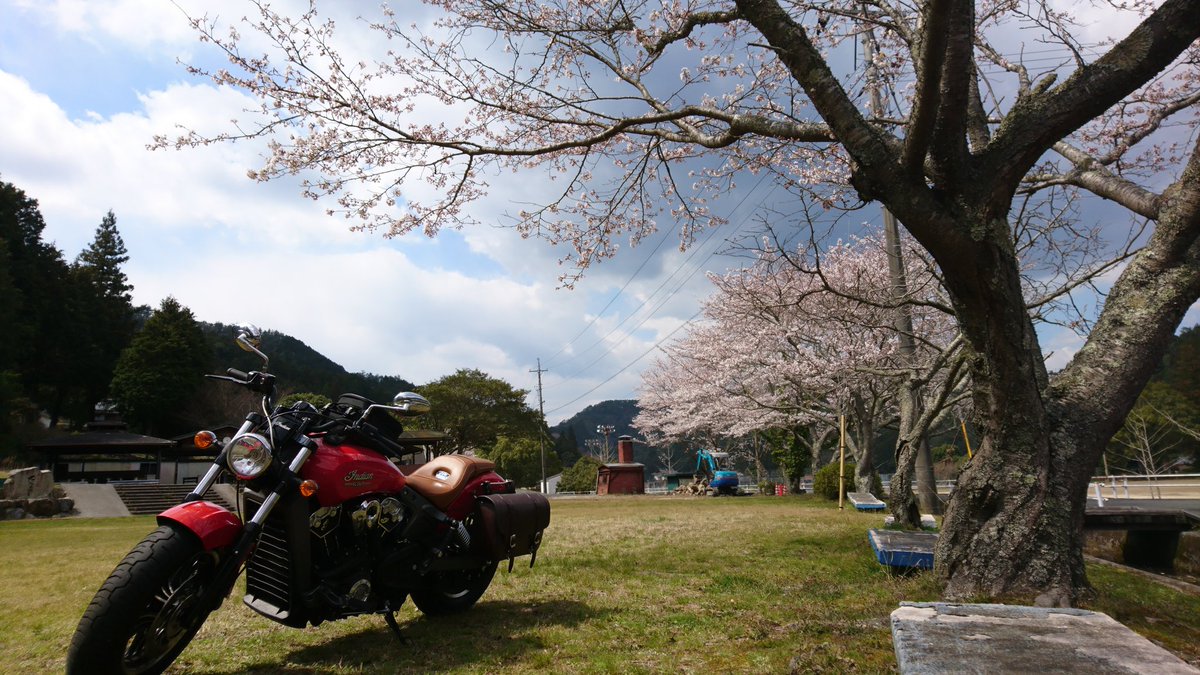Zin50698814's tweet photo. #Indian_scout https://t.co/UQVJkS06GF