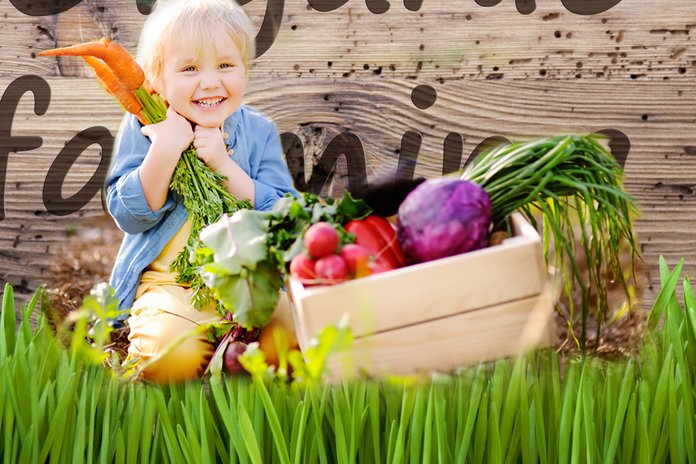 baratasboost's tweet photo. What Is Organic Farming
https://t.co/k36yEd8m8k
#OrganicFarming #organicfarmingdubai #organicfarming #farmers #soilhealth #chefsretreat #nawalgarh #cheflife #culinarytourism #indiafoodtour #farmanimals #farmlifebestlife #farmhousechic #farmersdaughter #farmerswalk https://t.co/5qbTsQX3Q2