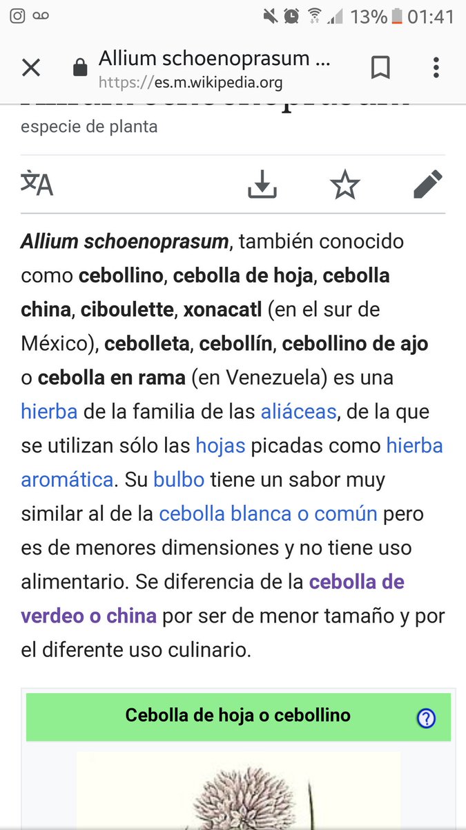 FelipeBorderes's tweet photo. @_NoeliaRiquelme @BrestGabrielaE @_BrendaRod Aca es donde se corrige a Noelia por equivocarse? https://t.co/Wn79xihoto