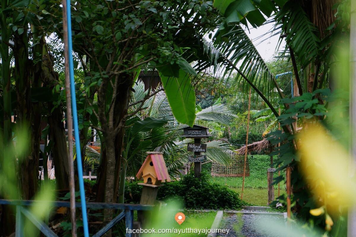 yutthayajourney's tweet photo. 🌴สองไร่สโลว์ไลฟ์ฟาร์ม
🏡 cafe&amp;farm ท่องเที่ยวเชิงเกษตร
🥤อาหารเครื่องดื่ม
🏠ที่พักวิวธรรมชาติ
🌾แบ่งปันความรู้ทางเกษตร
📍 https://t.co/AU8MLlXRBL

#รีวิวอยุธยา #ท่องเที่ยว #เกษตร #ReviewThailand #คาเฟ่ https://t.co/yC02aS56VE