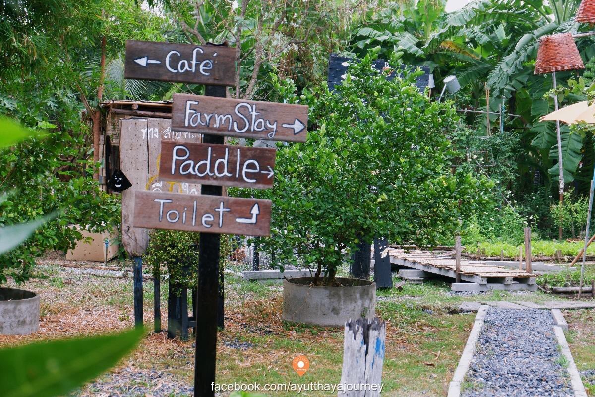yutthayajourney's tweet photo. 🌴สองไร่สโลว์ไลฟ์ฟาร์ม
🏡 cafe&amp;farm ท่องเที่ยวเชิงเกษตร
🥤อาหารเครื่องดื่ม
🏠ที่พักวิวธรรมชาติ
🌾แบ่งปันความรู้ทางเกษตร
📍 https://t.co/AU8MLlXRBL

#รีวิวอยุธยา #ท่องเที่ยว #เกษตร #ReviewThailand #คาเฟ่ https://t.co/yC02aS56VE