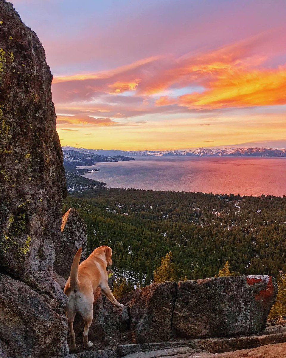 If only we could tag our dogs to let them know we want to go on more adventures like this. (But if you CAN tag your dog, please do so in the comments) Photo by @savannahhanslovan