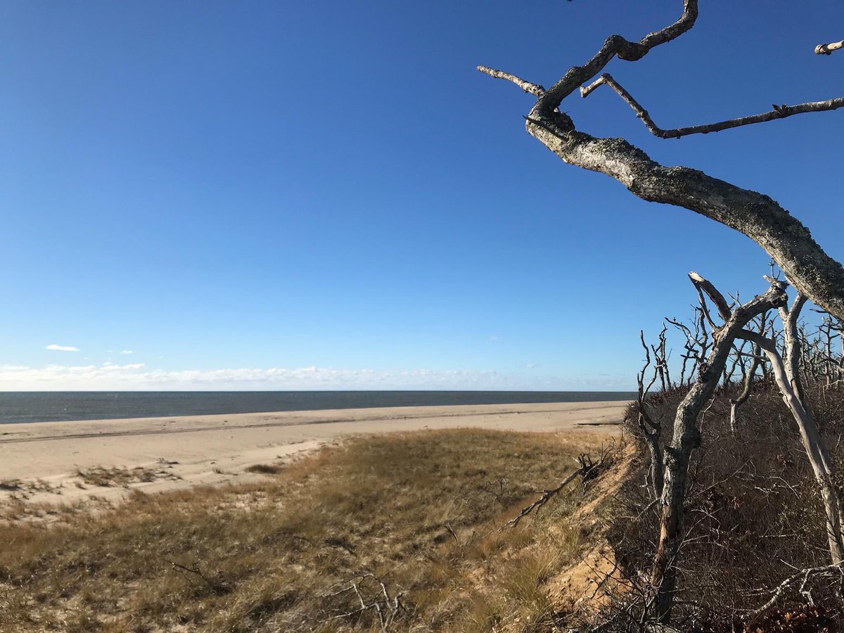 SmallMFH's tweet photo. Go green this Earth Day Weekend: join your friends and neighbors for this beach clean! Complimentary shuttle to and from the Chappy Ferry. @wasque #wasque
Email shurley@thetrustees.org for pick up @mvtweets @TrusteesBoston @thetrustees https://t.co/xAPq1aB4rj