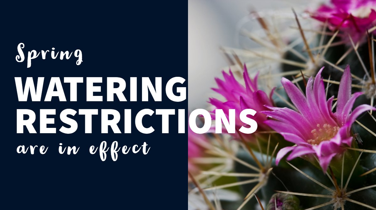 lvvwd's tweet photo. Do you know you can get fined for watering more than three days a week? Every #LVVWD customer has assigned watering days. Don’t risk a fine—know your watering day! Find yours at https://t.co/JNYjRzr4hh #springwatering https://t.co/HLKCWZSZej