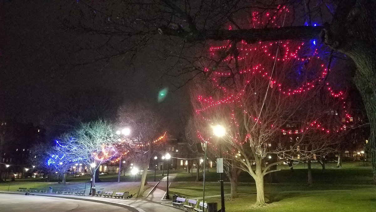 MattCastings's tweet photo. It's April 2nd. Why are holiday lights still up around the Frog Pond? @BostonParksDept @FOPG https://t.co/Hb3IlHJ914