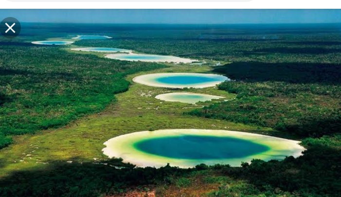 Reserva ecológica Siijil No ha (donde brota el agua) uno de los principales lugares del municipio de Felipe C.puerto
<a href="/omaralpuche/">omar alpuche leal</a>  , <a href="/chao_nefi/">Roberto Nefi Chao Mora</a>  , <a href="/RuseyMejia/">RUSEY MEJIA</a>  ,@AsiriaSolis