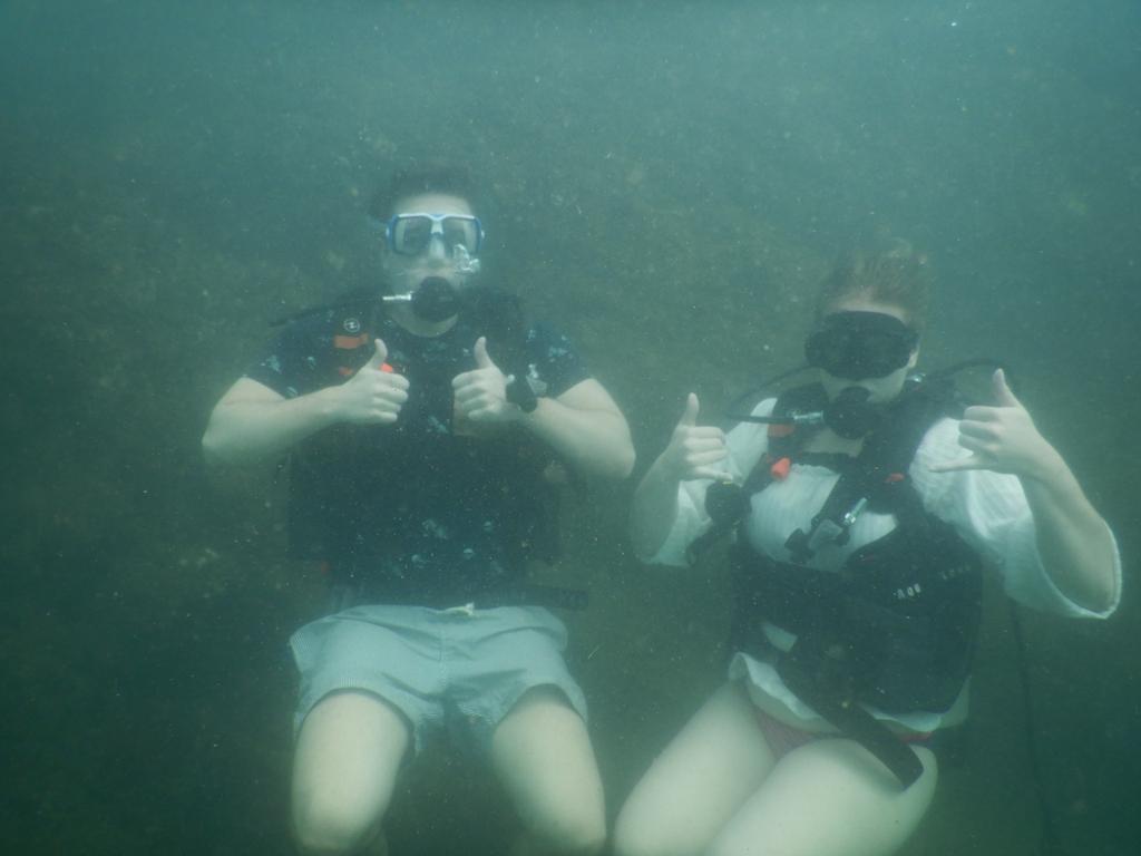 ScubaAliens's tweet photo. let's go deep in water and take a new experience with scuba alines by exploring the hidden beauty of the ocean apart form fishes there many other incredible life forms and new seascapes.#scubaaliens #scubadiving #scubadiver #goa  #underwaterbreathing #fishfacts #weexistunderwate https://t.co/XfkKPW7fZE