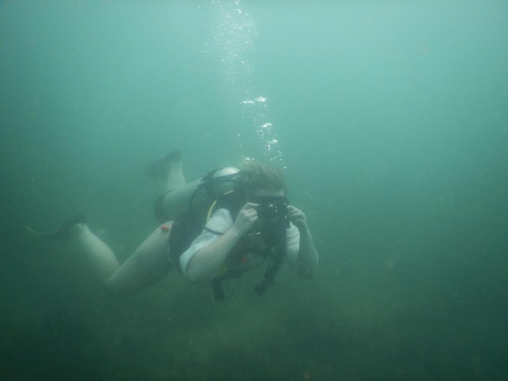 ScubaAliens's tweet photo. let's go deep in water and take a new experience with scuba alines by exploring the hidden beauty of the ocean apart form fishes there many other incredible life forms and new seascapes.#scubaaliens #scubadiving #scubadiver #goa  #underwaterbreathing #fishfacts #weexistunderwate https://t.co/XfkKPW7fZE
