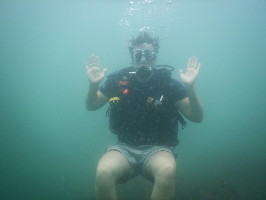 ScubaAliens's tweet photo. let's go deep in water and take a new experience with scuba alines by exploring the hidden beauty of the ocean apart form fishes there many other incredible life forms and new seascapes.#scubaaliens #scubadiving #scubadiver #goa  #underwaterbreathing #fishfacts #weexistunderwate https://t.co/XfkKPW7fZE