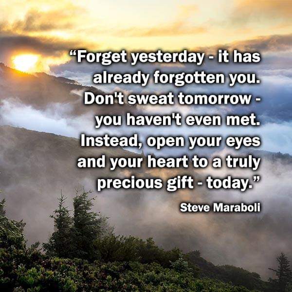 Xenula (@xenula1) on Twitter photo 