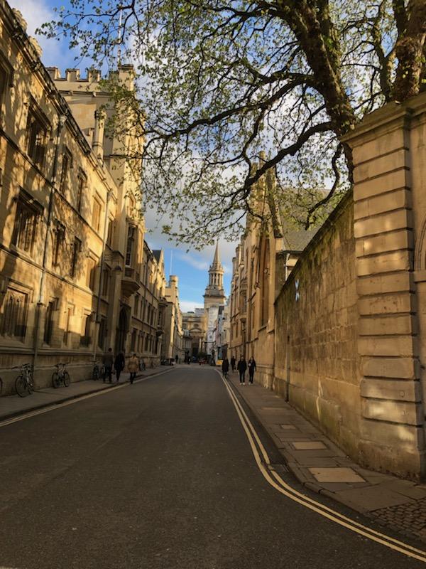 chaz_hong's tweet photo. Day 2 of BMP Signaling &amp; Cancer Conference @UniofOxford. Learned about the role of BMP signaling in leukemic stem cell drug-resistance, in immune modulatory role in tumor microenvironment, and iron homeostasis. #BiochemSoc #BiochemEvent @CPMOxford #leukemia #cancerresearch https://t.co/EbDabQgvcM