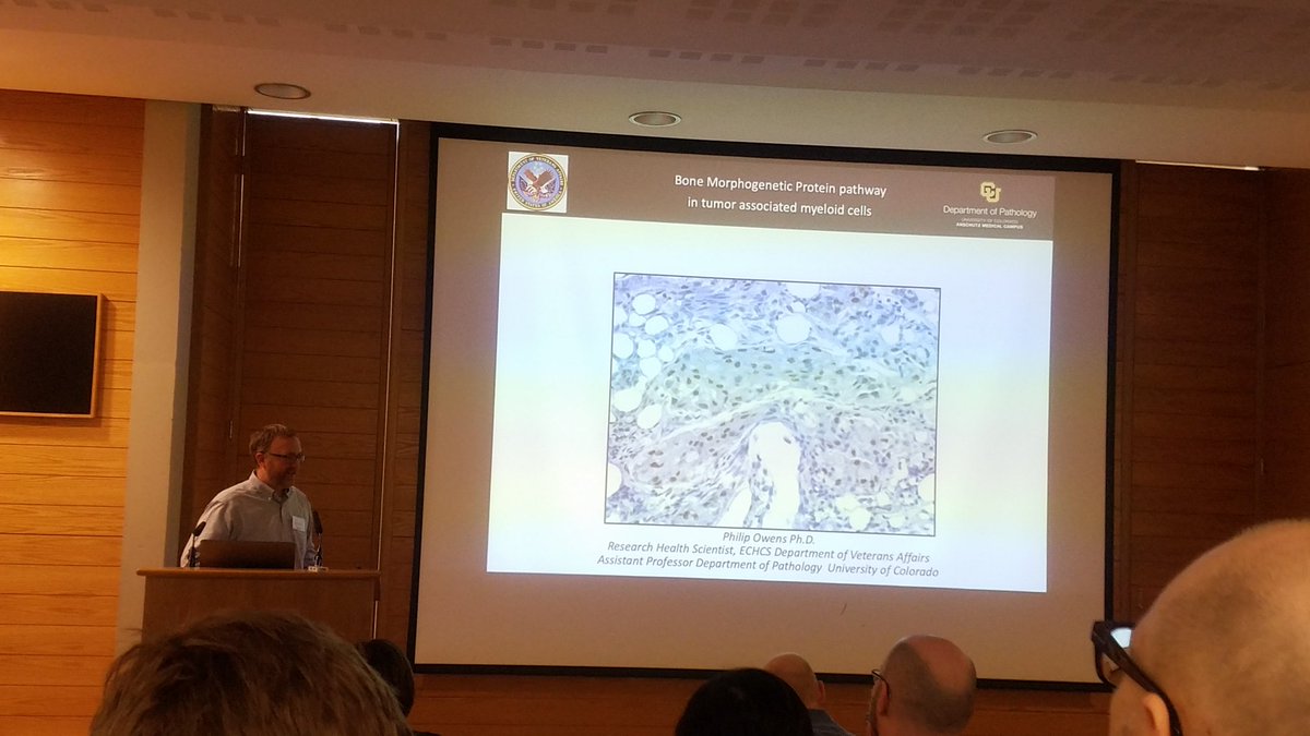chaz_hong's tweet photo. Day 2 of BMP Signaling &amp; Cancer Conference @UniofOxford. Learned about the role of BMP signaling in leukemic stem cell drug-resistance, in immune modulatory role in tumor microenvironment, and iron homeostasis. #BiochemSoc #BiochemEvent @CPMOxford #leukemia #cancerresearch https://t.co/EbDabQgvcM