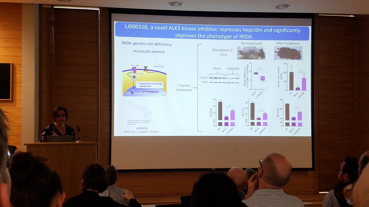 chaz_hong's tweet photo. Day 2 of BMP Signaling &amp; Cancer Conference @UniofOxford. Learned about the role of BMP signaling in leukemic stem cell drug-resistance, in immune modulatory role in tumor microenvironment, and iron homeostasis. #BiochemSoc #BiochemEvent @CPMOxford #leukemia #cancerresearch https://t.co/EbDabQgvcM