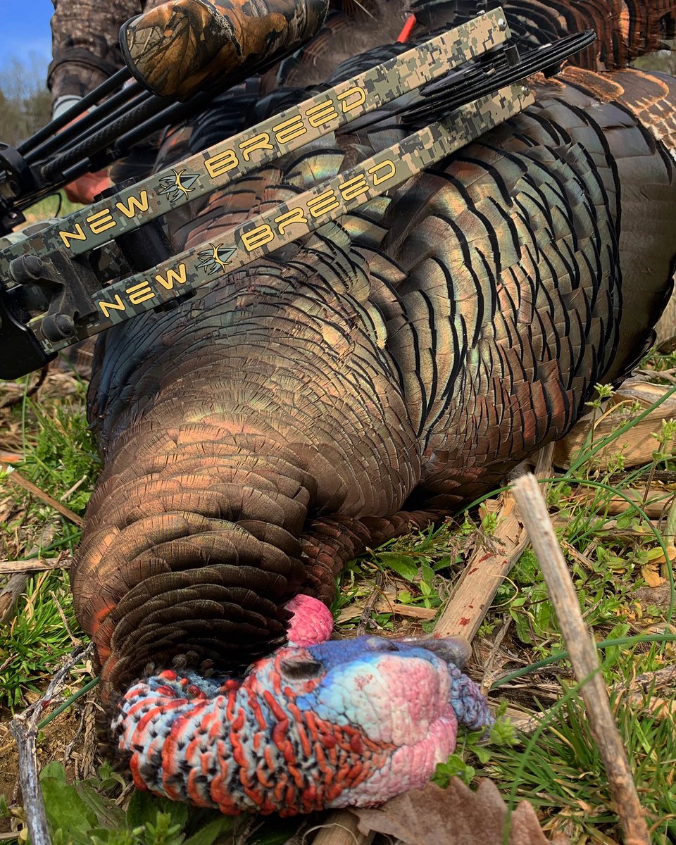 New Breed Archery tweet media