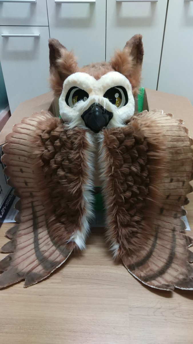 ChoAion's tweet photo. 새 친구가 왔습니다
잘 부탁드려요!!

카푸치/Cappucci/カプチ

Gryphowl
(Barn Owl/Gryphon Hybird)
그리프아울
(원숭이올빼미/그리폰 하이브리드)

Made By
Twilight Knights Cosplay
https://t.co/reuDpbXSe3 https://t.co/1eUO1FGMJ7