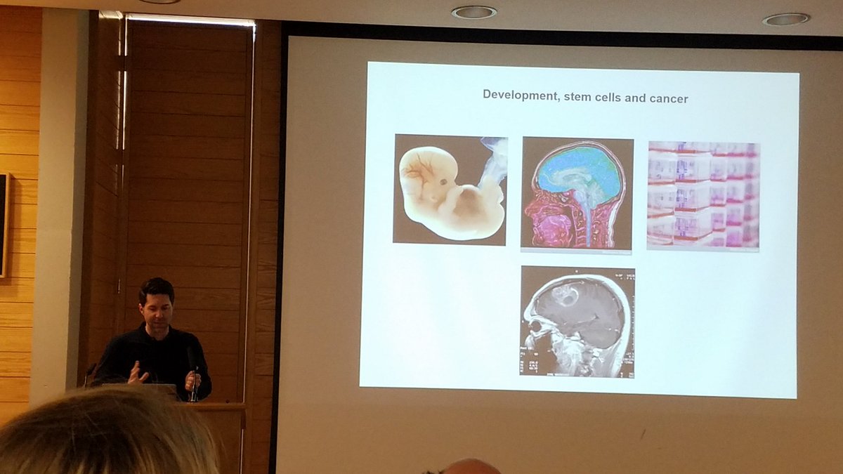 chaz_hong's tweet photo. Day 2 of BMP Signaling &amp; Cancer Conference @UniofOxford. Partnering to treat high grade gliomas. A clue &amp; a cure from embryogenesis? Plus, M4KPhram, a novel non-profit model to takle deadly pediatric brain cancer. #BiochemSoc #BiochemEvent @CPMOxford #leukemia #cancerresearch https://t.co/addeSVHAq5