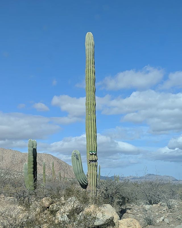 JustinBauerArt's tweet photo. #MEX19 https://t.co/B8qW3pDMYX https://t.co/G6ktXI7Apy