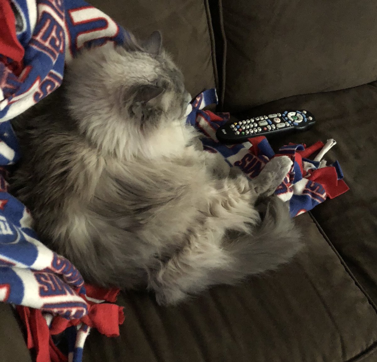 BlueSteelSlater's tweet photo. Sometimez you just want to be a couch potato and watch your favorite tv showz ๐บ #donttouchtheremote #TunaTuesday #cats #catlife https://t.co/uyrwpG1eP7