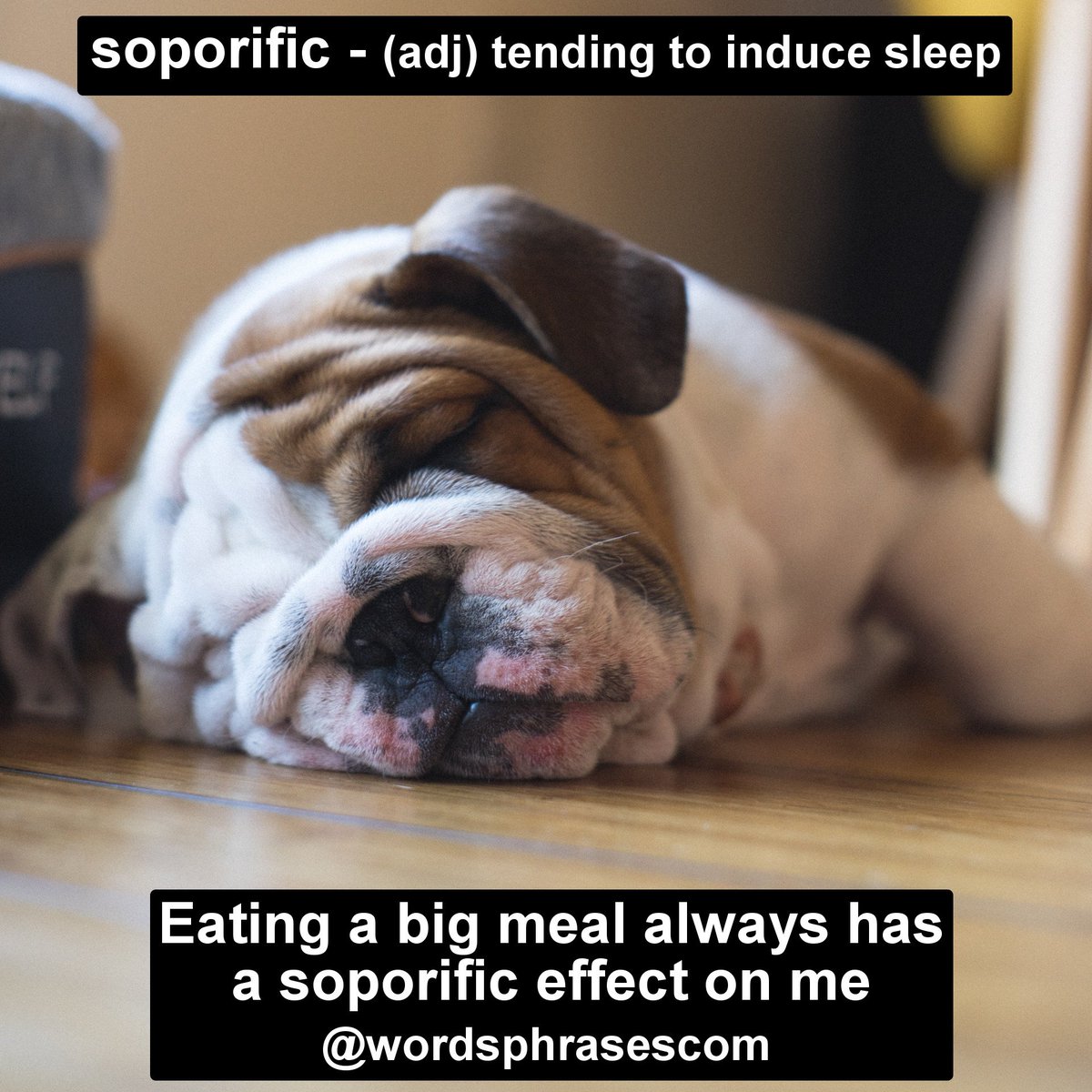 wordsphrasescom's tweet photo. Word of the day - Soporific. Increase your word power! Follow me to learn English!!
#wordpower #learnenglish #wordoftheday #englishwords #englishphrases #studyenglish #learnvocabulary #englishvocabulary #coolwords #englishteacher #englishclass #englishlesson https://t.co/iI456w8y7o