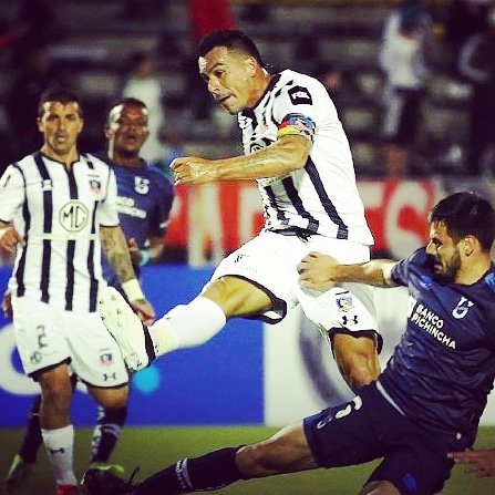 Javier Silva tweet media