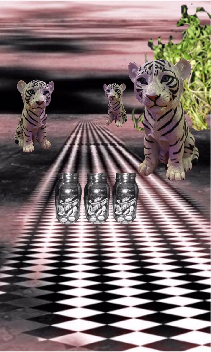 DillonP_Photo's tweet photo. Mod 15  Surreal Soup - Tiger, cup, plant #psbehrend #photo100 https://t.co/4YgWq77tOt